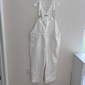 Madewell Women’s Straight-Leg Denim Carpenter Overalls in Tile White Size 2XP